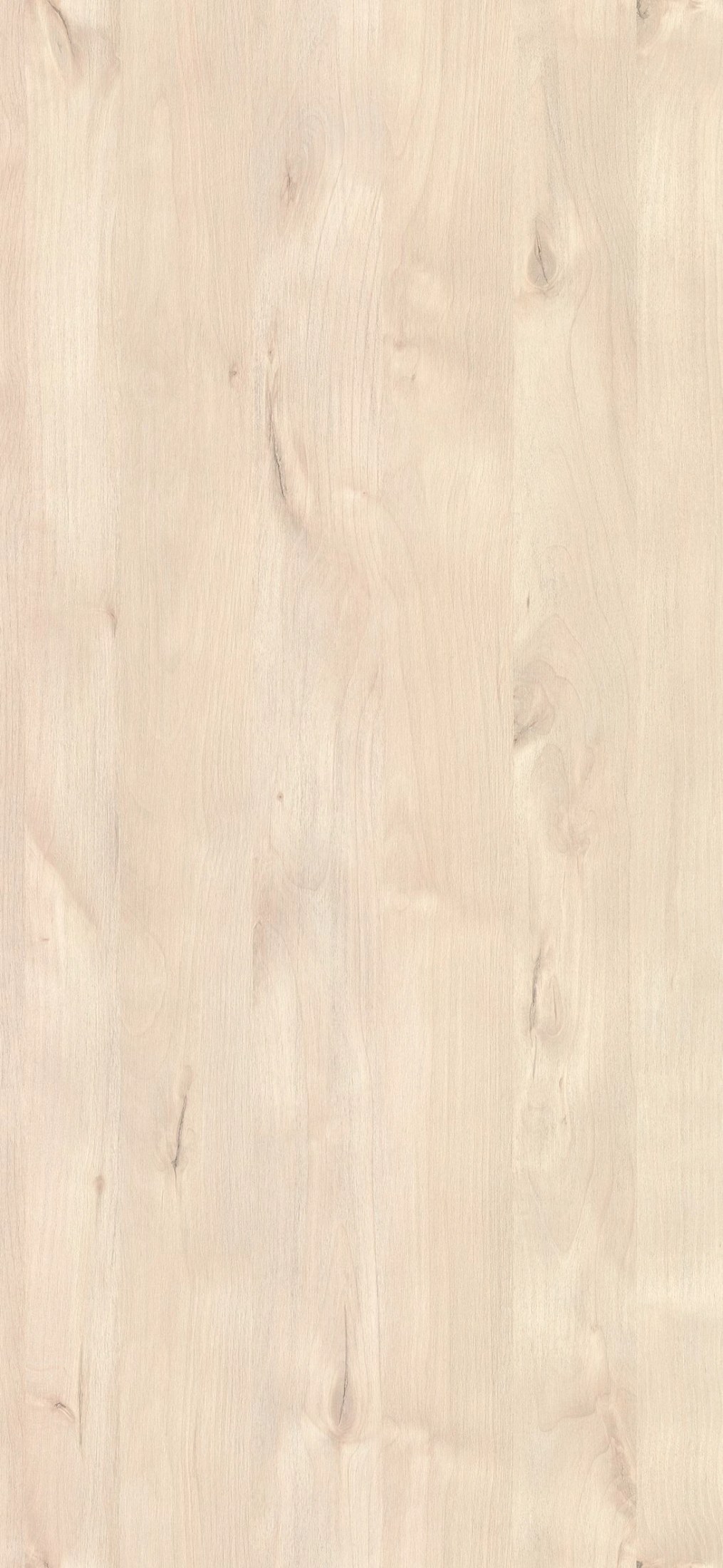 M6213 New Port Pale