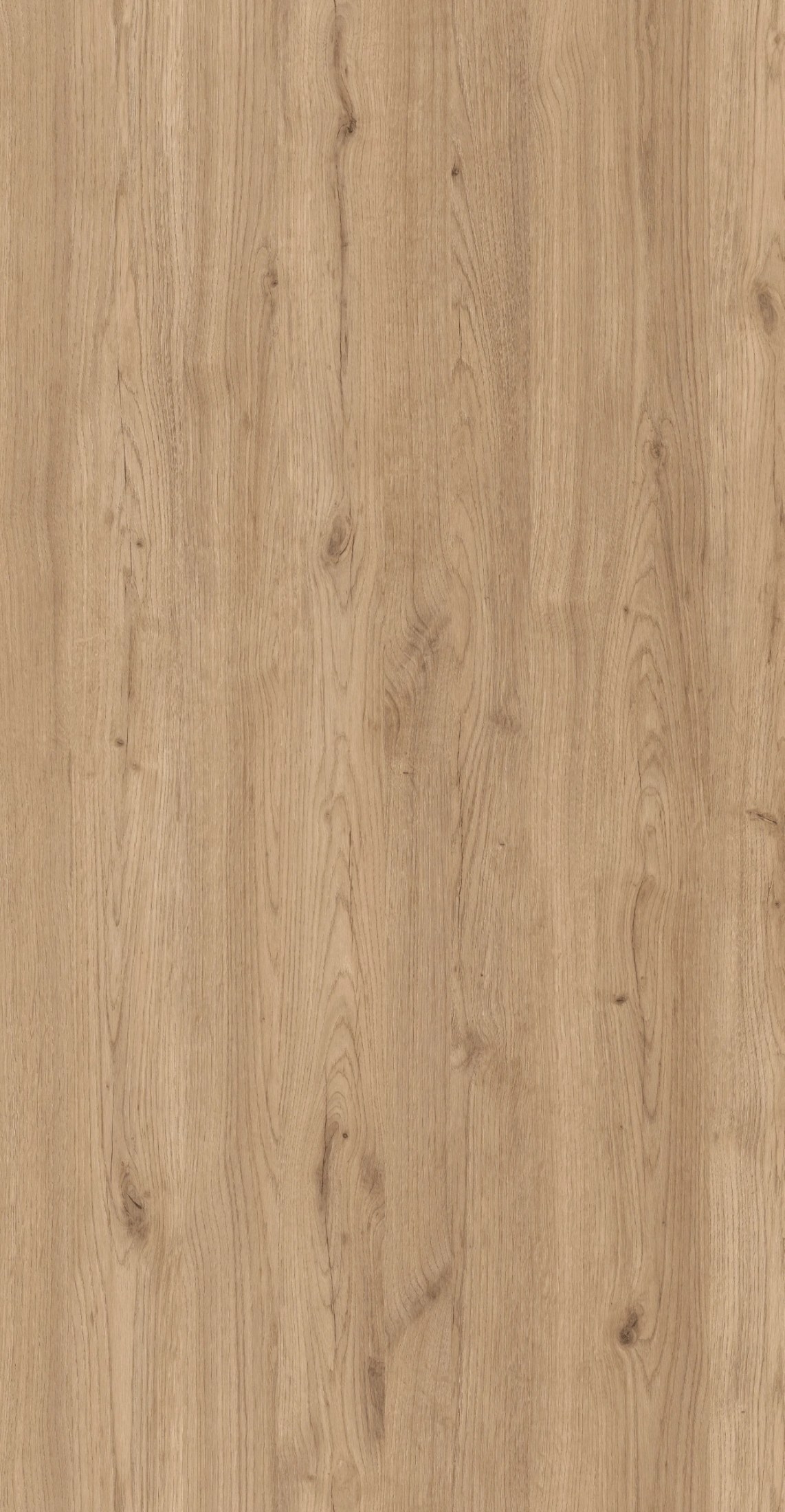 M6263 Salerno Oak Innovus