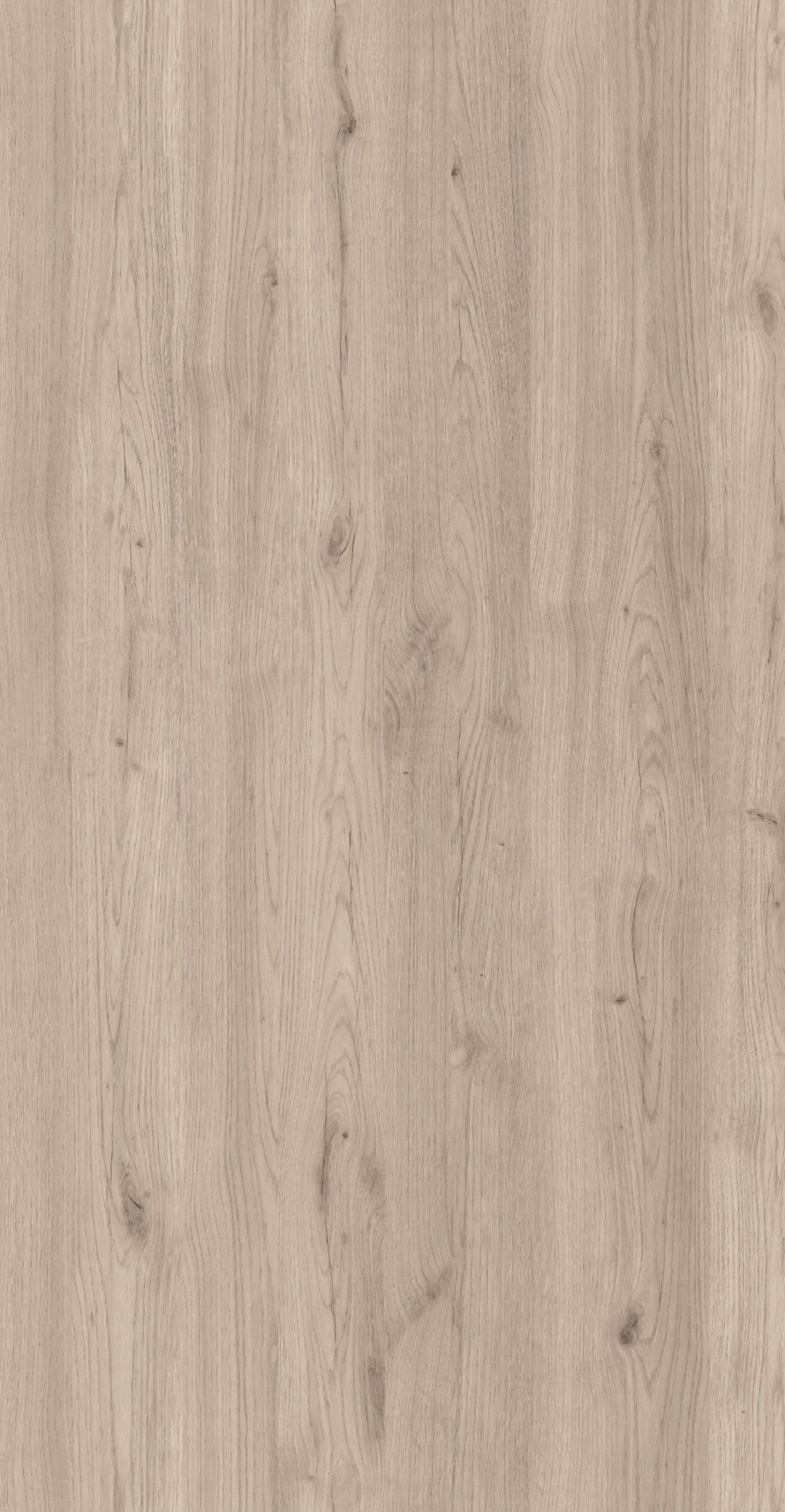 Salerno Oak Pale Innovus
