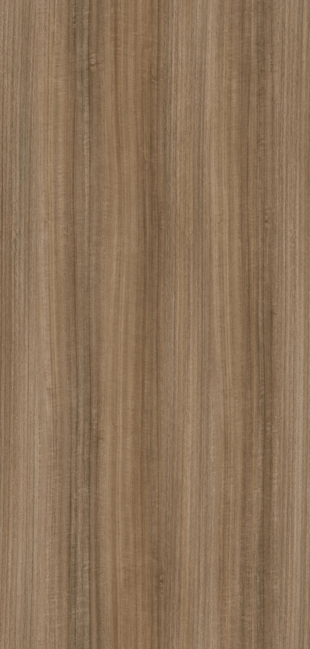 M6299 Ethnic Sand Innovus