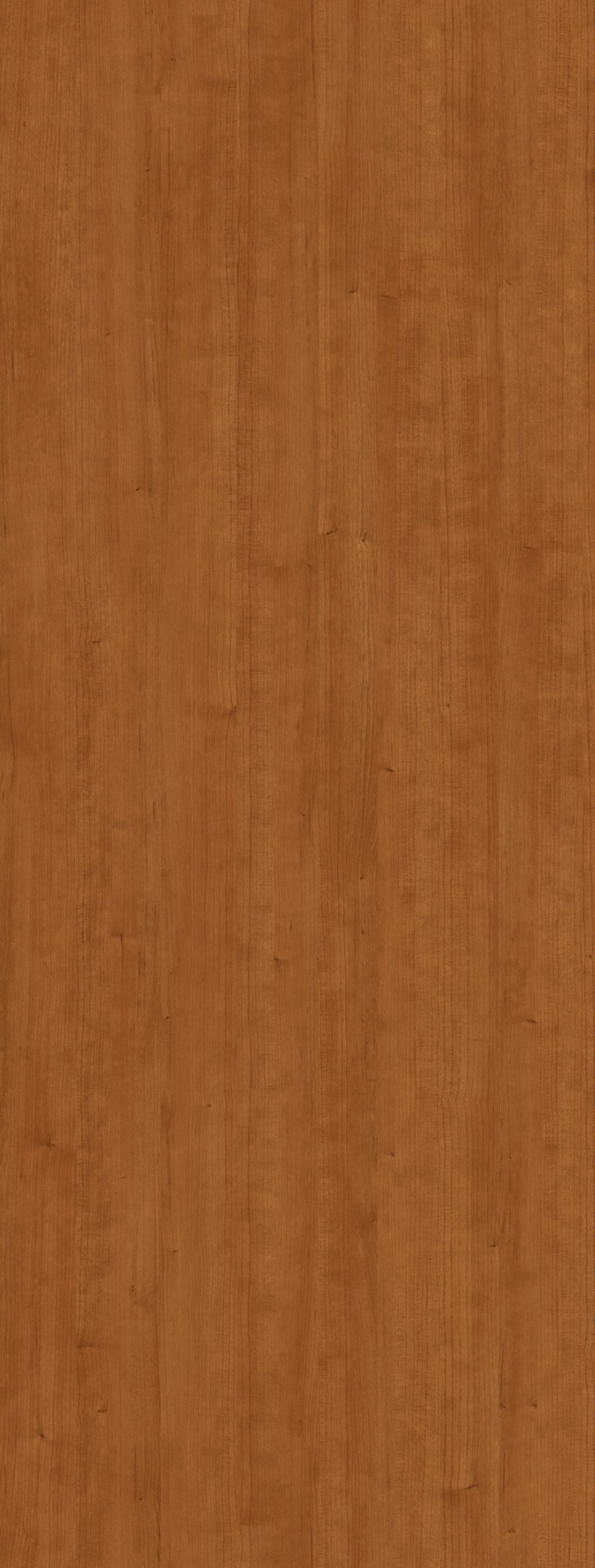 Nettgau Cherry Innovus